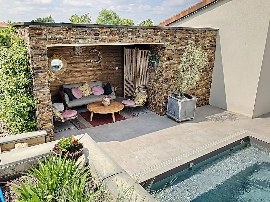 Magnifique Villa Piscine, Salle Cinema Est Toulouse Sainte-Foy-d'Aigrefeuille France